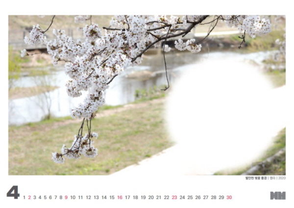 ★상세정보 필독★어린이와 보호자가 함께 압화로 꾸미는 2023년 달력 (화성시 역사박물관 11월 문화가 있는 날 기획전시 연계)