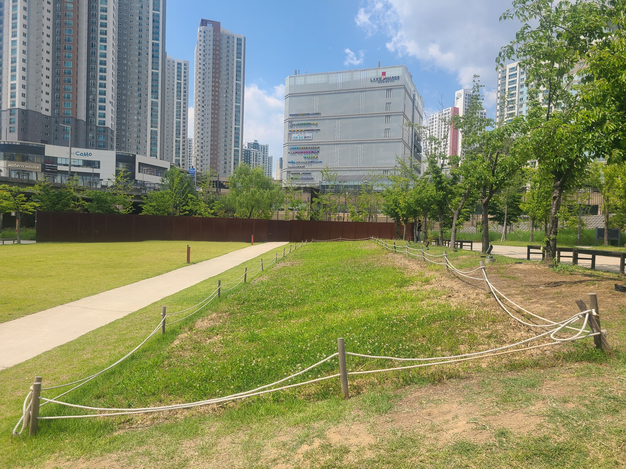 2024 동탄호수공원 튤립구근 나눔