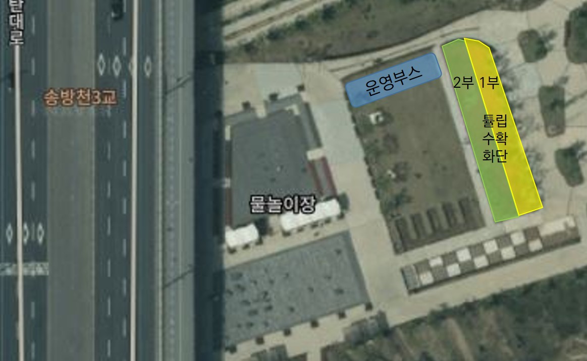 2024 동탄호수공원 튤립구근 나눔