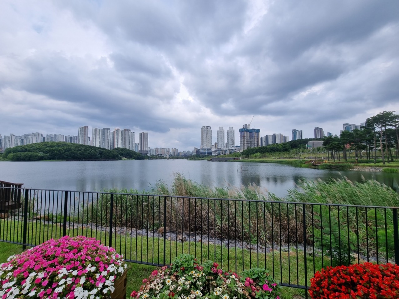 7월 2주차(7/10~7/14) 동탄호수공원 생태체험프로그램 _ 예약 신청 전 상세정보 확인 필수