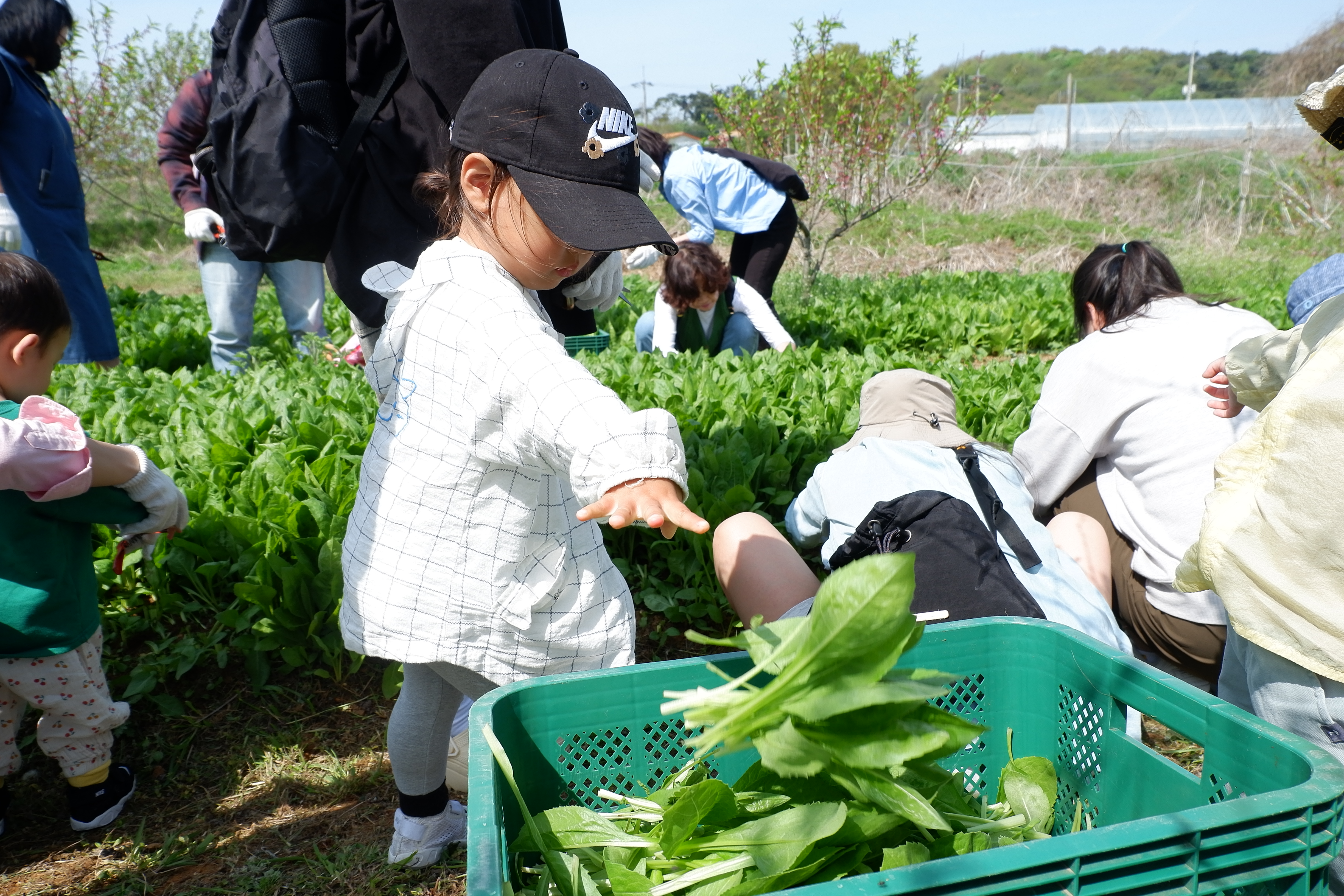 2024년 도농상생프로젝트 제철농산물 체험 3차 참여자 모집