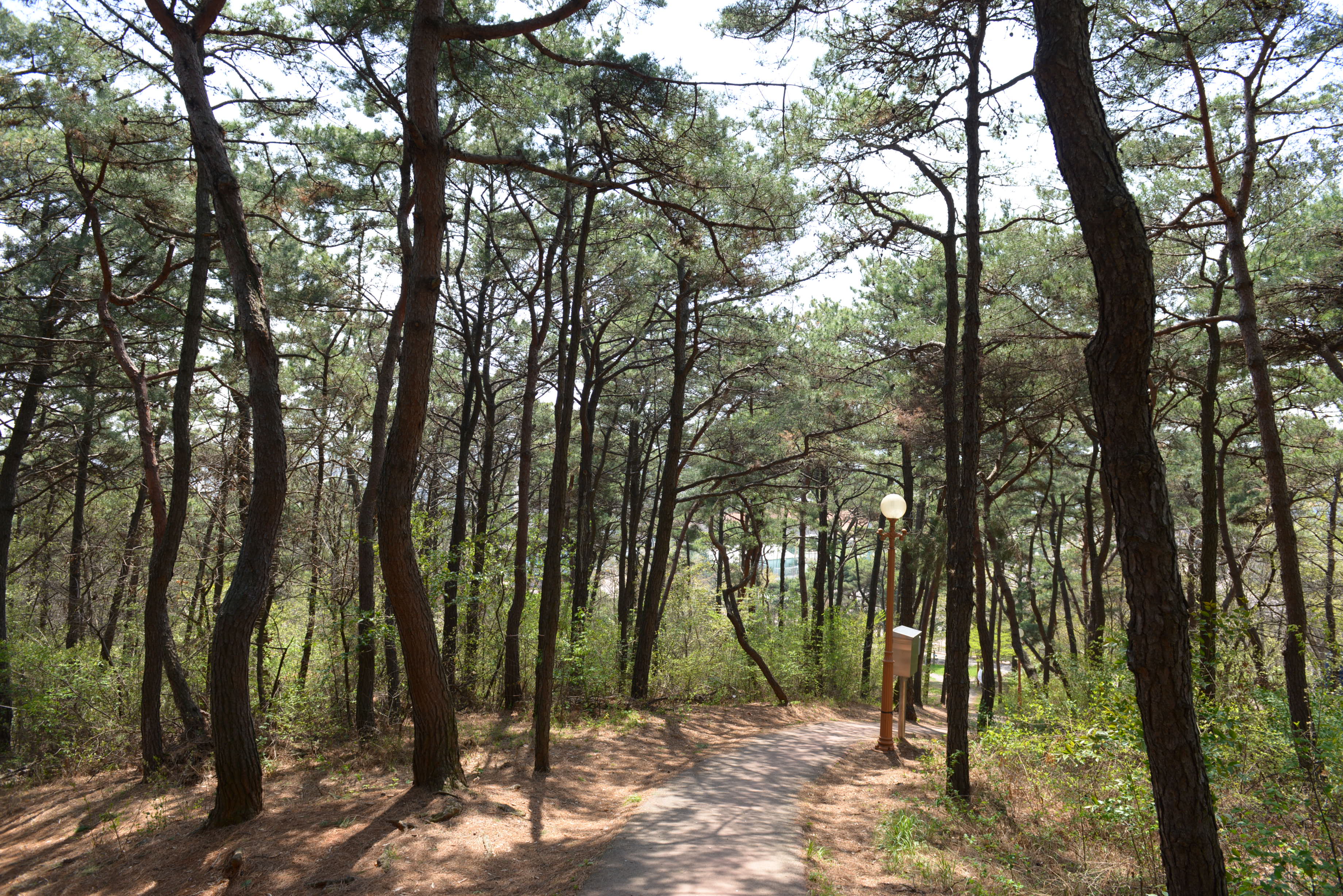 [B코스] 화성3.1운동만세길 도슨트 해설 프로그램