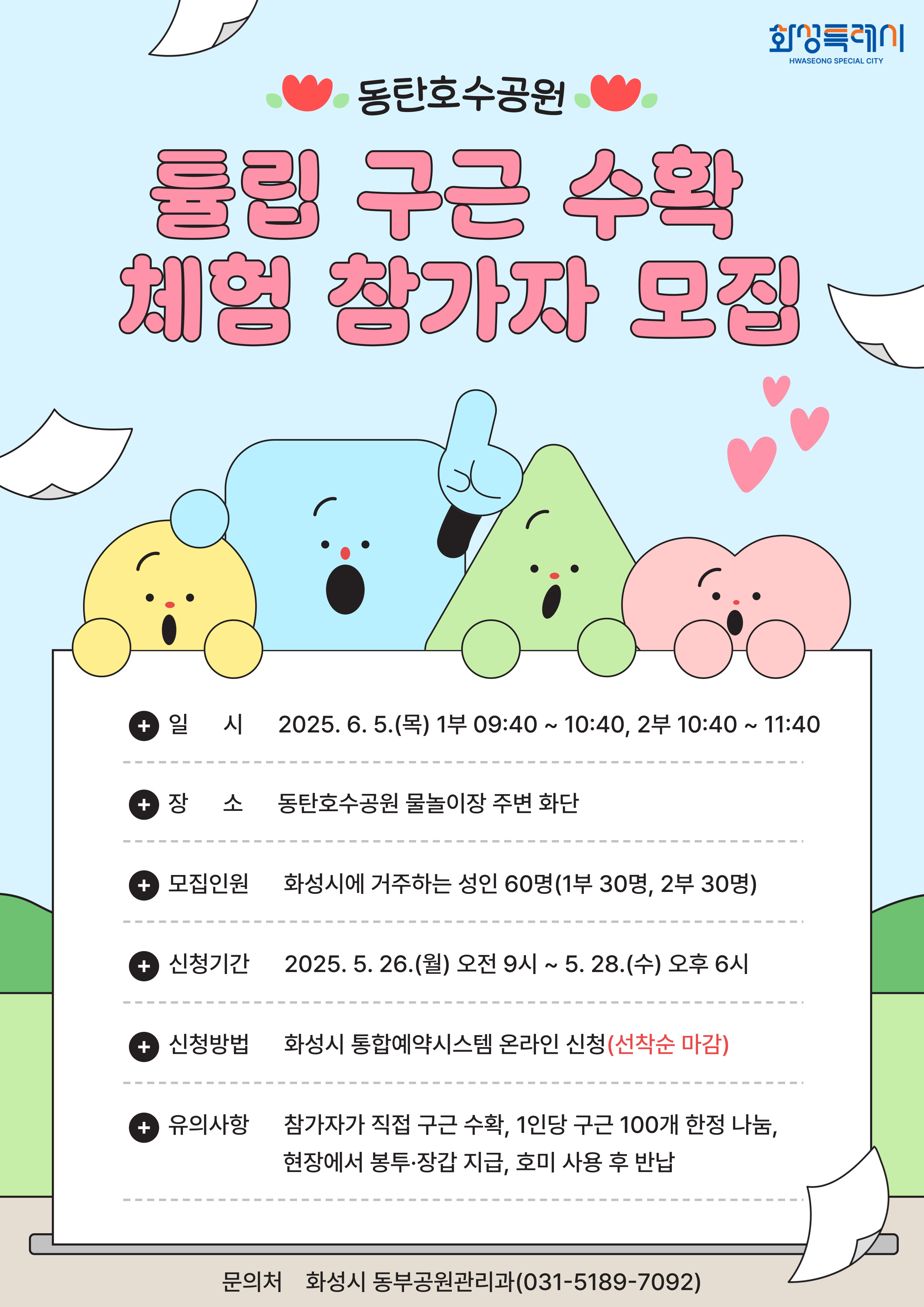 2025년 동탄호수공원 튤립 구근 수확 체험