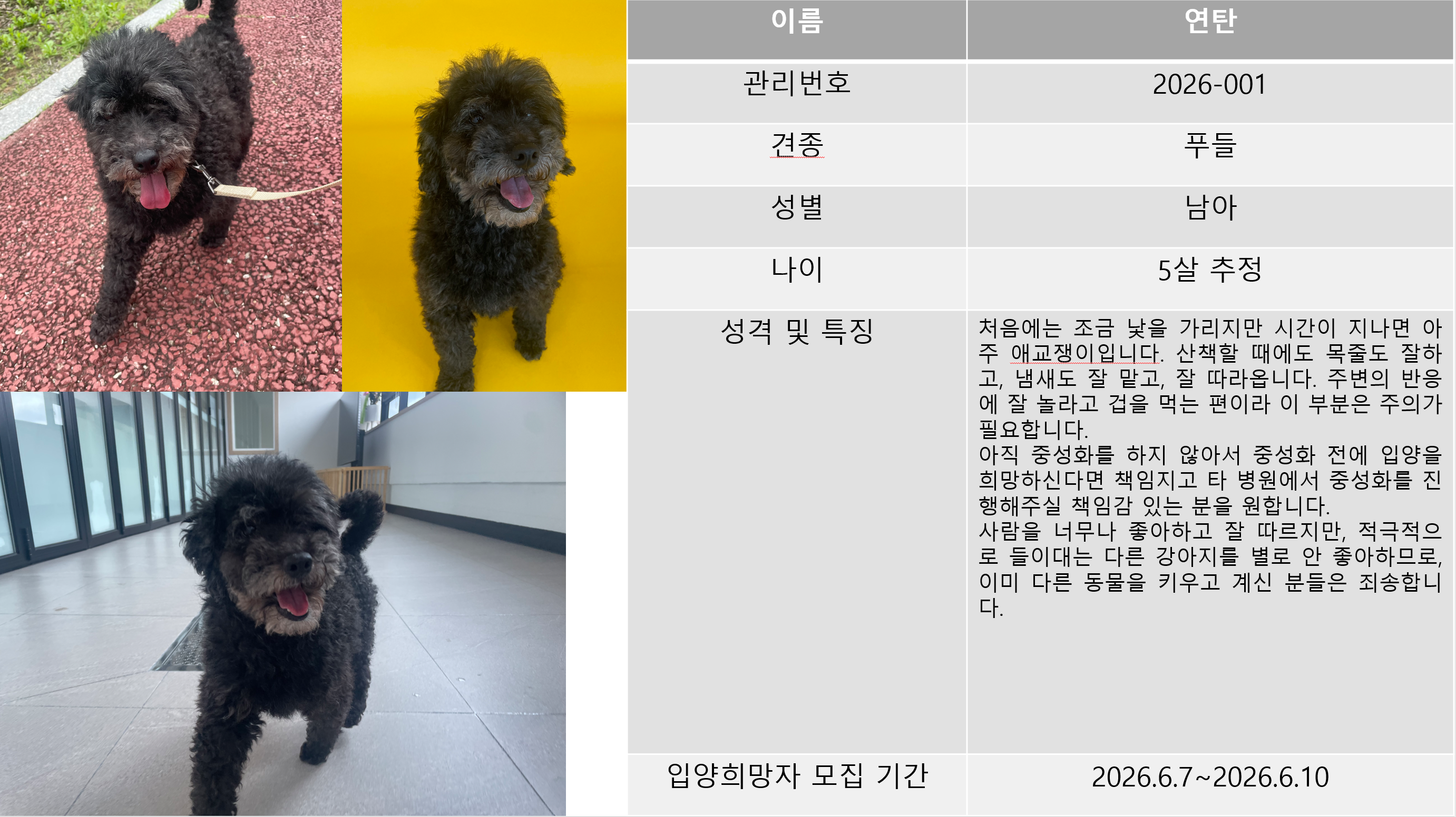 반려동물 입양센터 입양상담