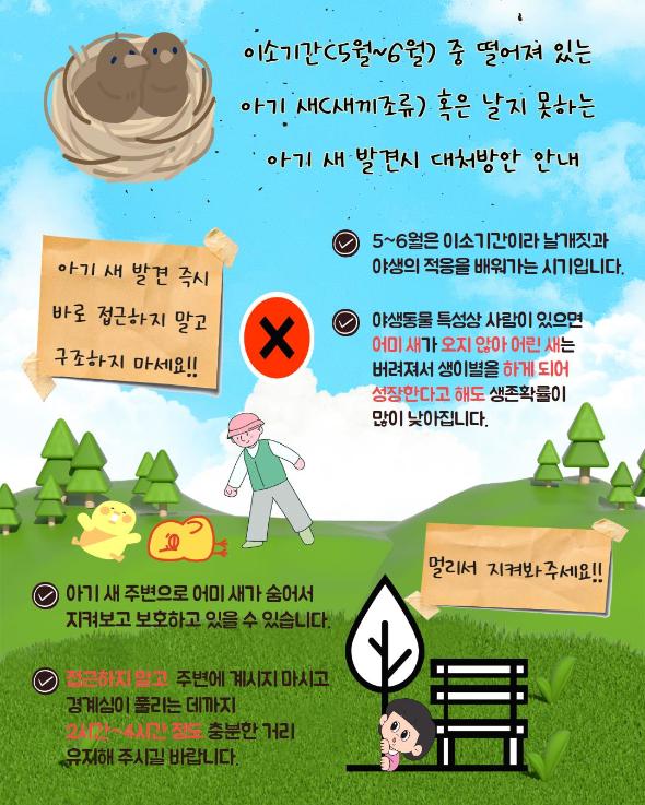 아기 새 구조 방법 안내