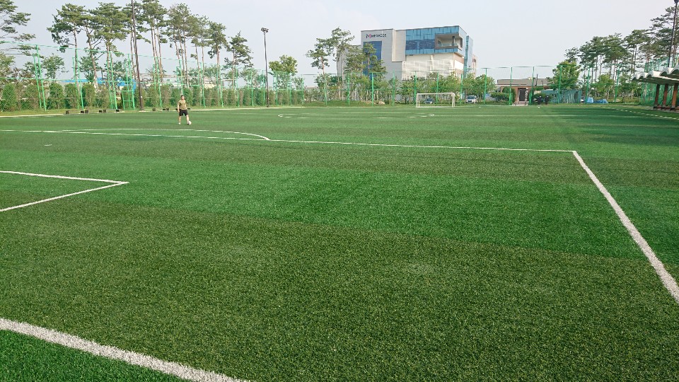 경기화성바이오밸리 축구장