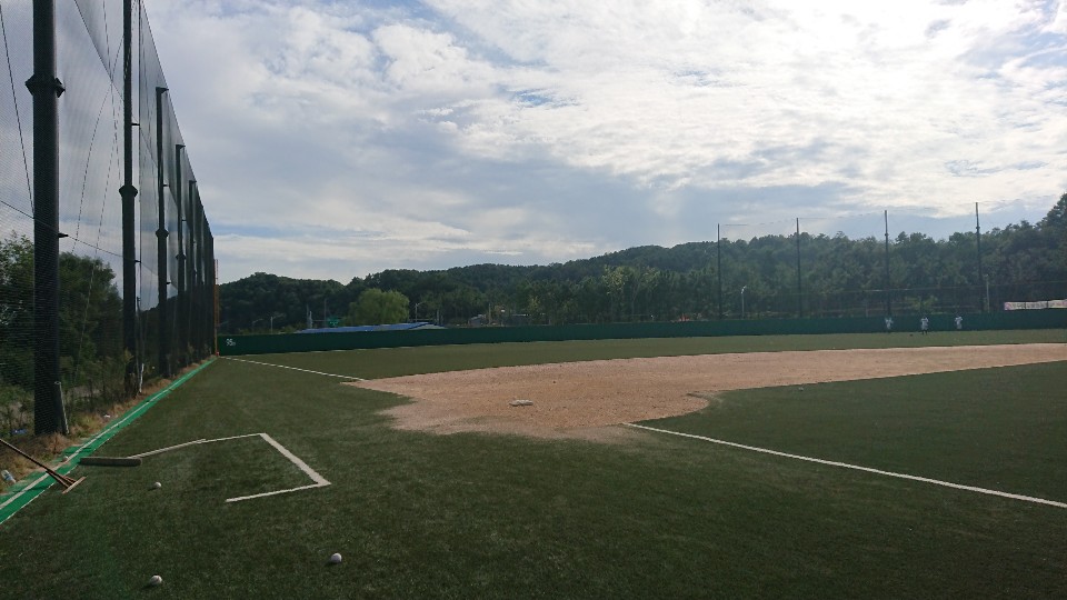 비봉체육공원 1야구장(리틀)