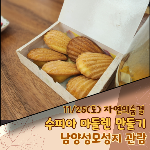 11/25(토) 수피아 마들렌 만들기 - 남양성모성지 