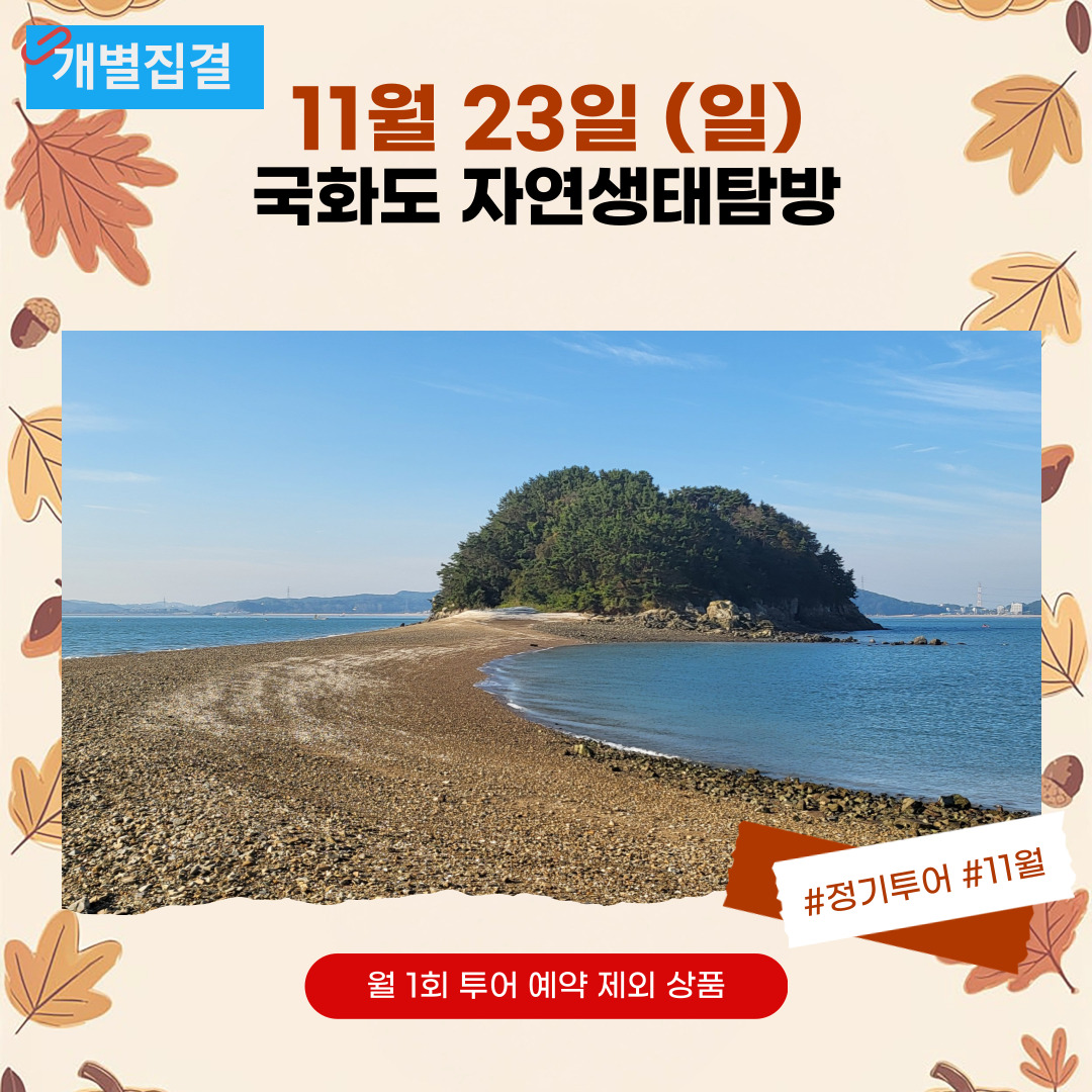 11/23(일) 자차로 떠나는 국화도 자연생태탐방