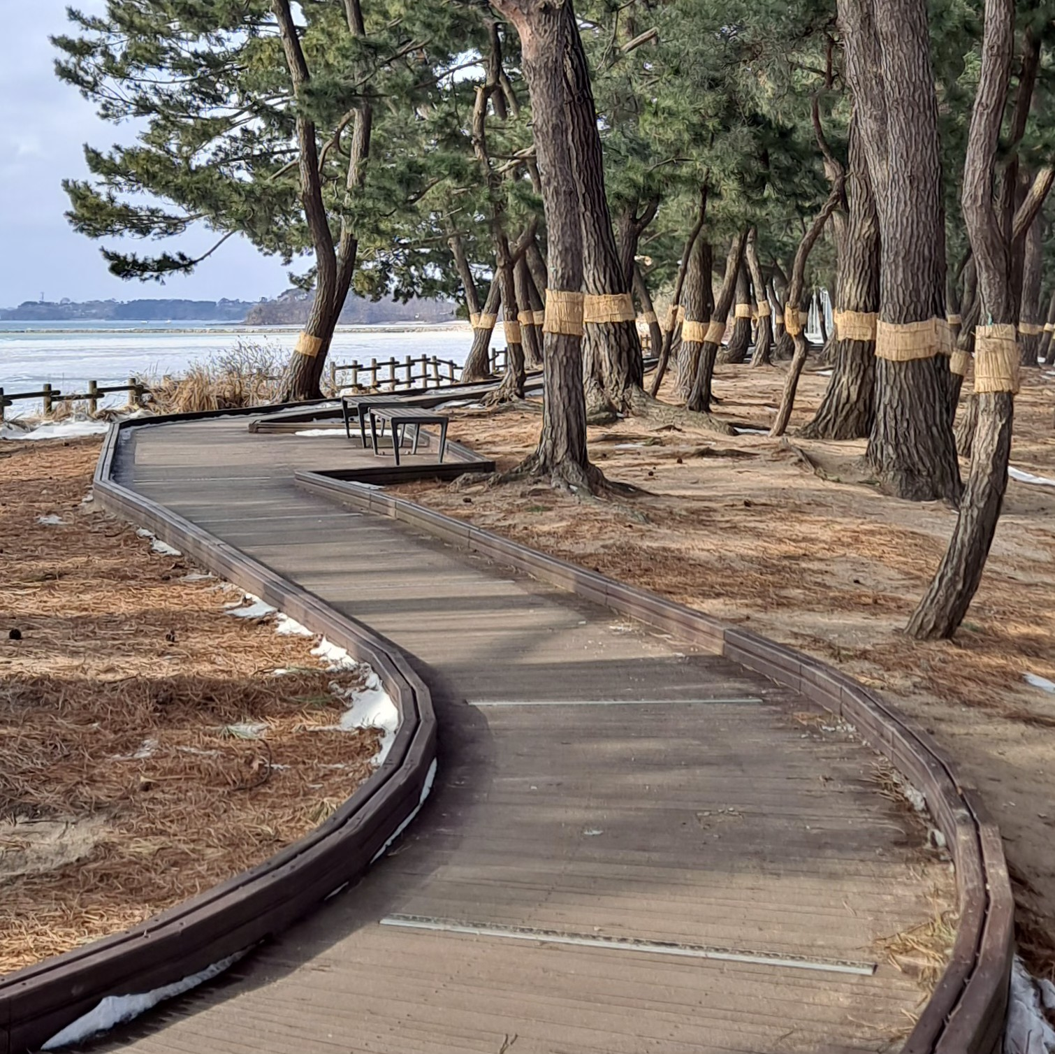 문화관광해설(궁평오솔로)